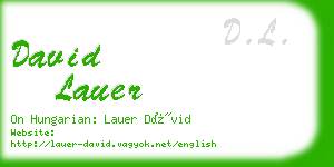 david lauer business card